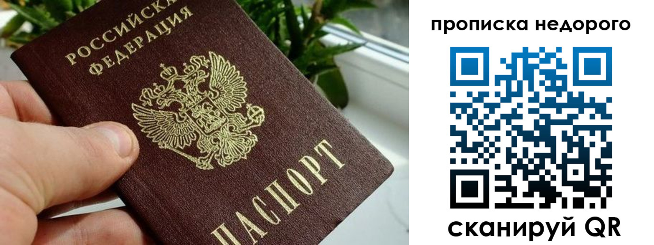 прописка для кредита в Жуковском